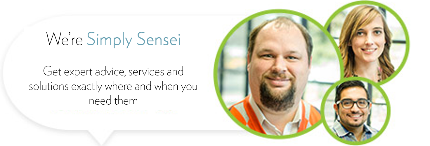 Simply Sensei Services